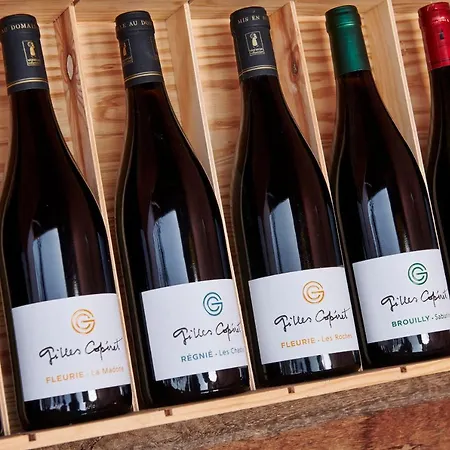 B&B Domaine Gilles Coperet- Artisan-vigneron- D'hotes Les Glycines -