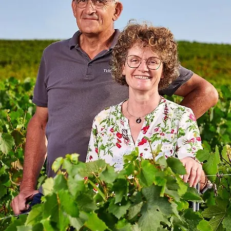 Domaine Gilles Coperet- Artisan-vigneron- D'hotes Les Glycines -