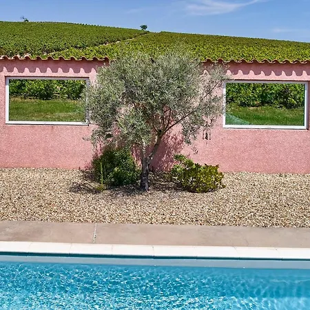 Domaine Gilles Coperet- Artisan-vigneron- D'hotes Les Glycines - Bed & Breakfast Régnié