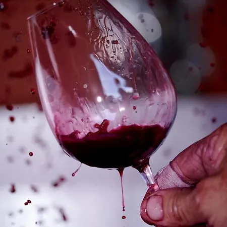 Domaine Gilles Coperet- Artisan-vigneron- D'hotes Les Glycines -