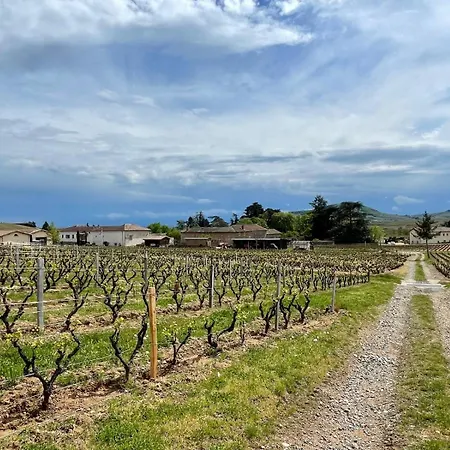 Domaine Gilles Coperet- Artisan-vigneron- D'hotes Les Glycines - * Régnié