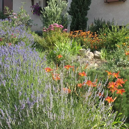 Bed & Breakfast Domaine Gilles Coperet- Artisan-vigneron- D'hotes Les Glycines -